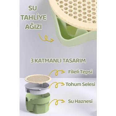 Zoo Topraksız Kedi