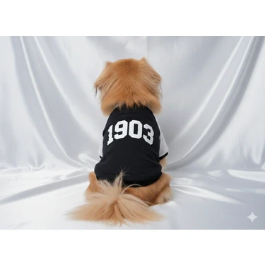 Taraftar Serisi 1903 Yazılı Köpek Sweatshirt - Küçük Irk Uyumlu Siyah Beyaz