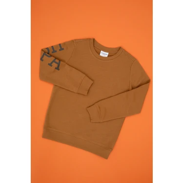 U.S. Polo Assn. Erkek Çocuk Camel Basic Bisiklet Yaka Sweatshirt