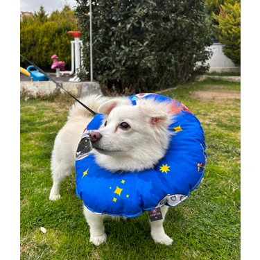 Petris Kedi ve Küçük Irk Köpek Boyunluk-Elizabeth Yakalık Operasyon(Ameliyat)Boyunluk(Hayvan